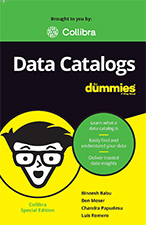 DataCatalog for Dummies Collibra Edition